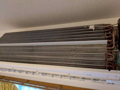 398769b3afe2ae58ad6d76f78b6da1a1