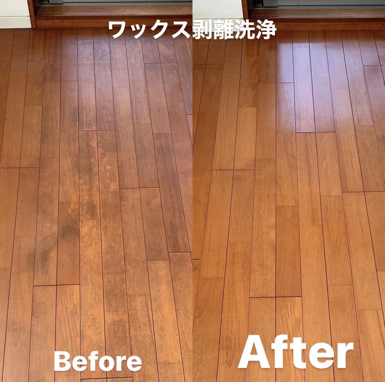 1K~戸建てなど様々な間取りでのフローリングお掃除事例まとめ 1K~戸建てなど様々な間取りでのフローリングお掃除事例まとめ