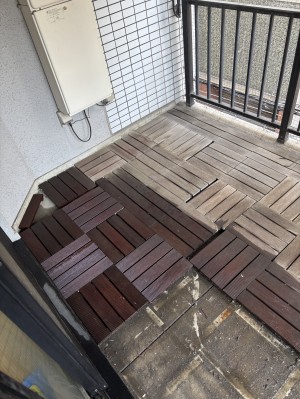 S__555778051_0 S__555778051_0