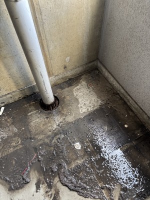 S__555778054_0 S__555778054_0