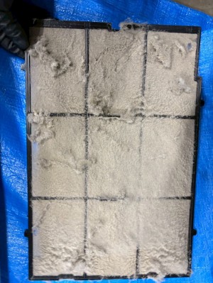 line_oa_chat_251220_123505_group_4 line_oa_chat_251220_123505_group_4